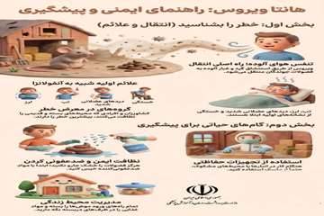 info (10)